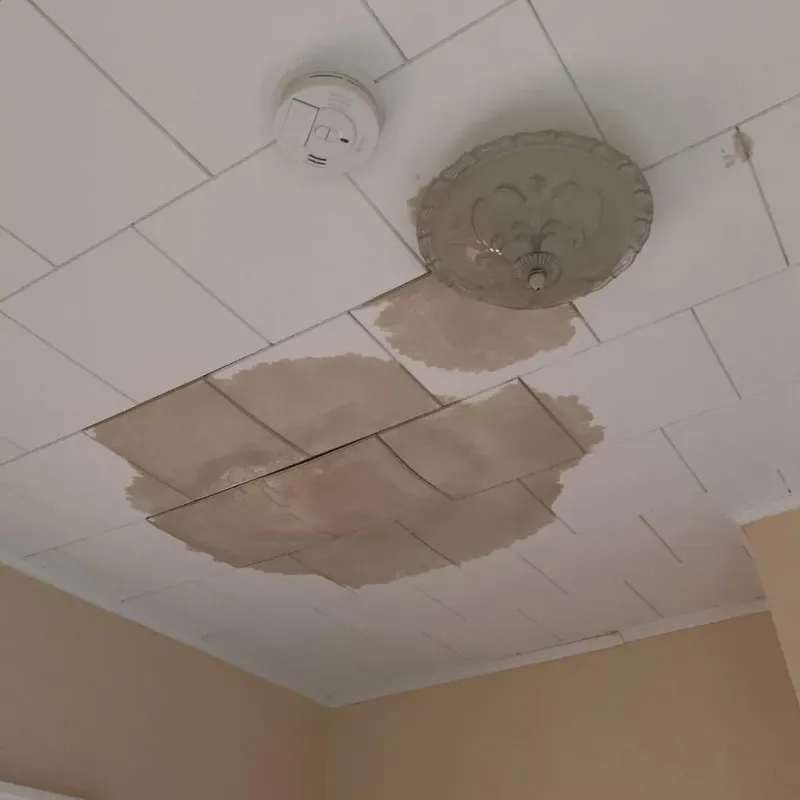 Ceiling Water Damage Repair in Mantorville, MN